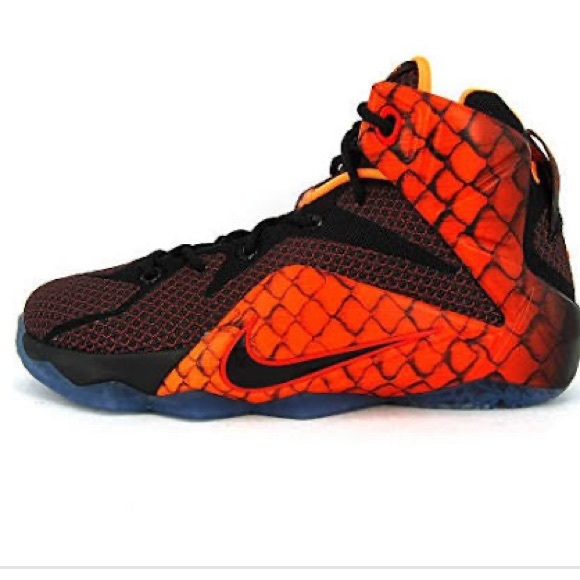 lebrons 12